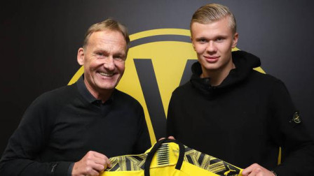 香港金牛连续2天击败CBA球队，将与上海争夺一个出线名额（香港金牛连胜两天击退CBA对手，将与上海角逐出线席位）